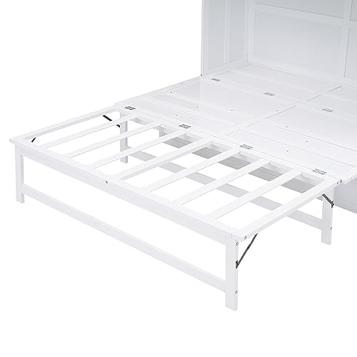 White Queen Size Murphy Bed with Bookcase C25011